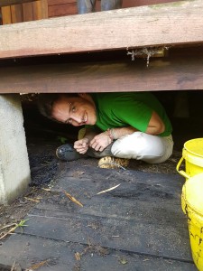 Charlie under huset för att måla med diesel på betongfundamenten.