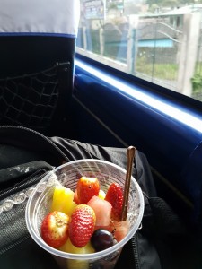 Fruktsallad på bussen! Det kommer ombord folk hela tiden och säljer mat, frukt, glass och dricka!